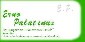 erno palatinus business card